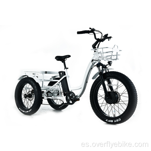 Triciclo eléctrico basculante de neumáticos gordos XY-Trio Deluxe